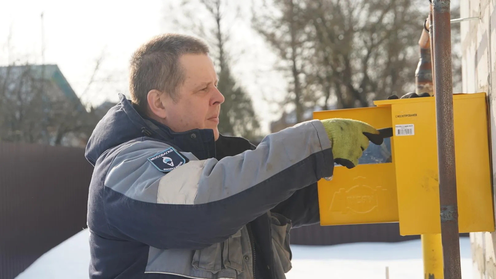 Алёна Притула