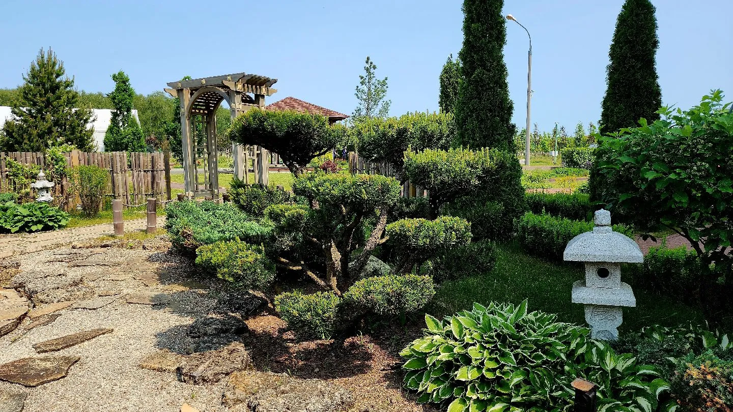 Фото: Медиасток Подмосковья/Александр Степушкин