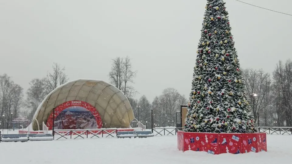Фото: администрация Сергиево-Посадского г.о.