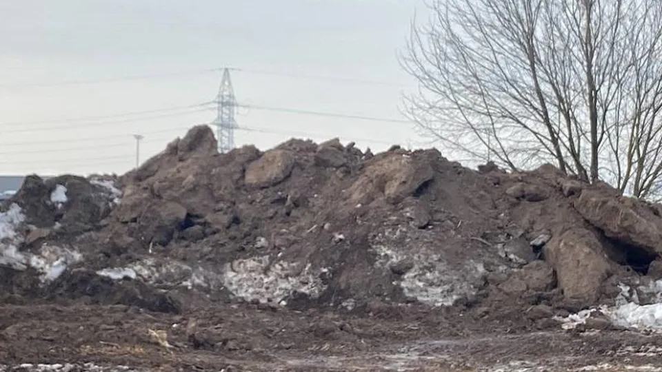 Фото: Министерство экологии и природопользования Московской области
