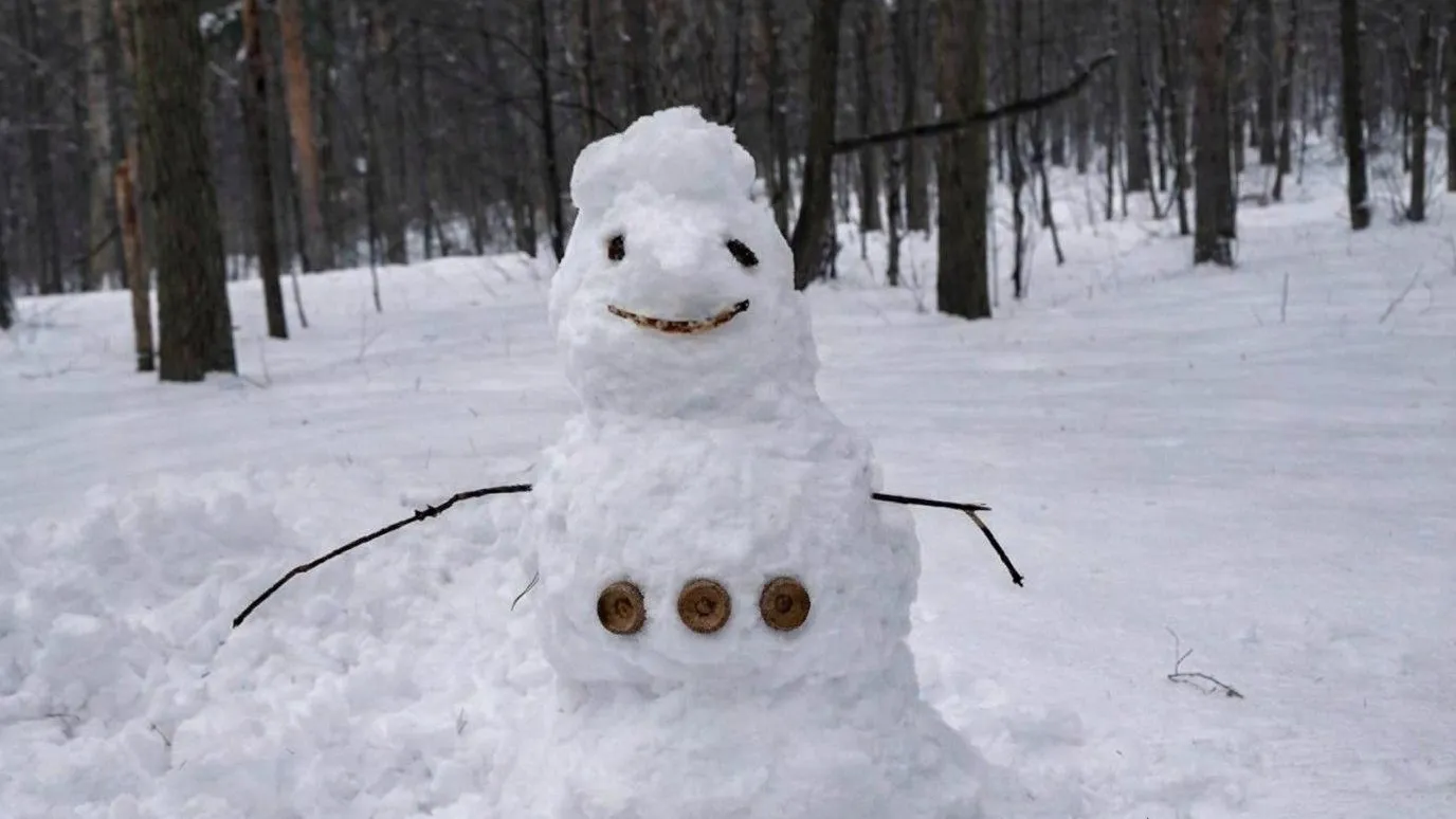 REGIONS/Сгенерировано нейросетью