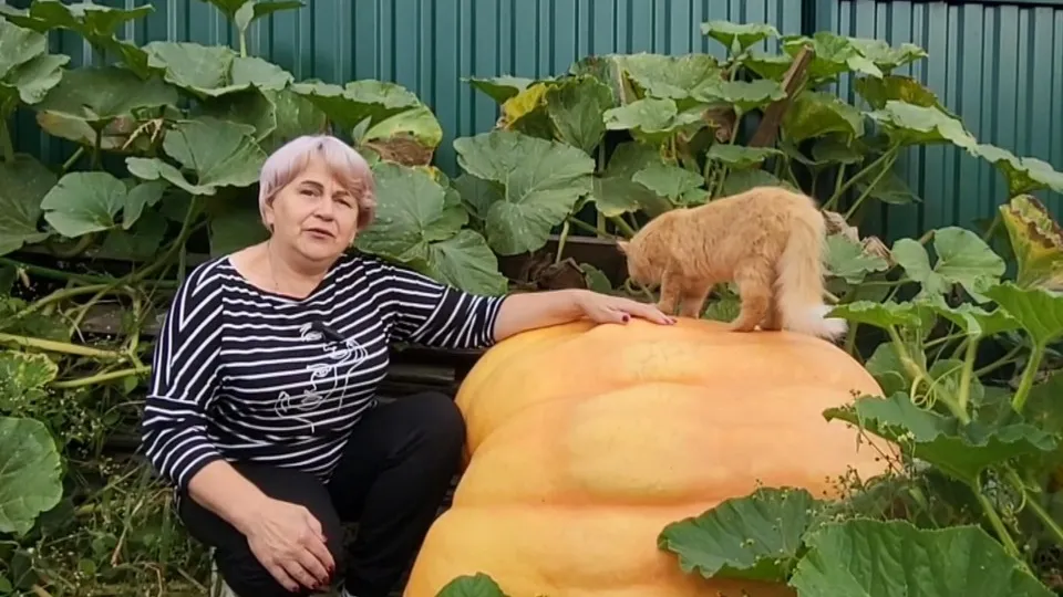 Фото: пресс-служба Администрации городского округа Луховицы