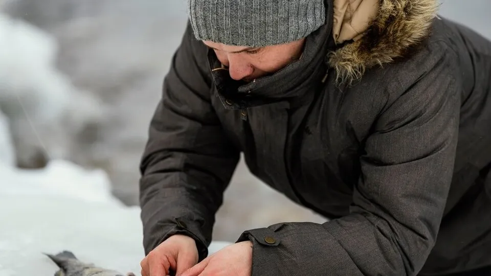 Фото: freepik.com