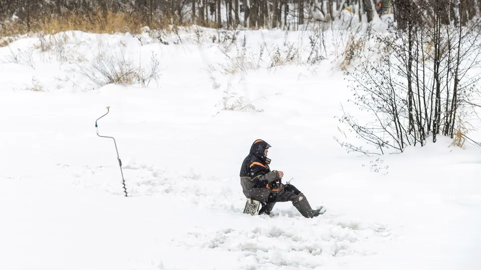 Фото: медиасток.рф