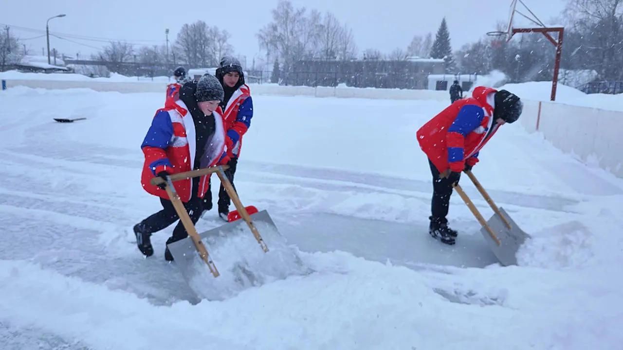 «Волонтеры Подмосковья»