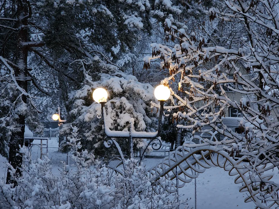 Фото: МедиаБанк Подмосковья/Екатерина Данилина