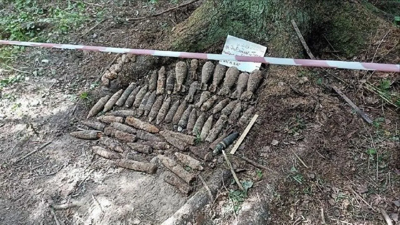 Семьдесят боеприпасов времен ВОВ обнаружили поисковики под Рузой