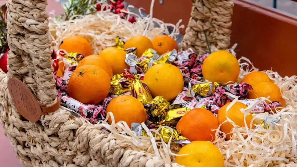 Фото: t.me/AnnaKrotova_Lobnya