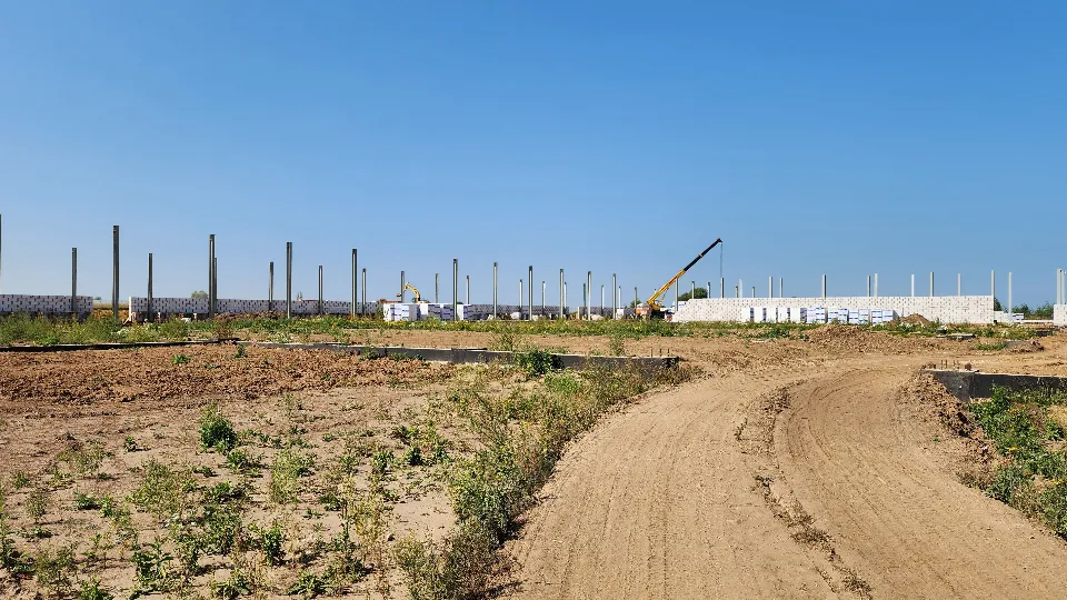 Фото: МедиаБанк Подмосковья/Светлана Плотникова