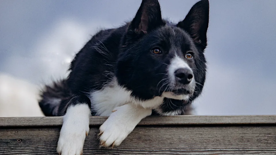 Фото: личный архив Елены Стрекаловой