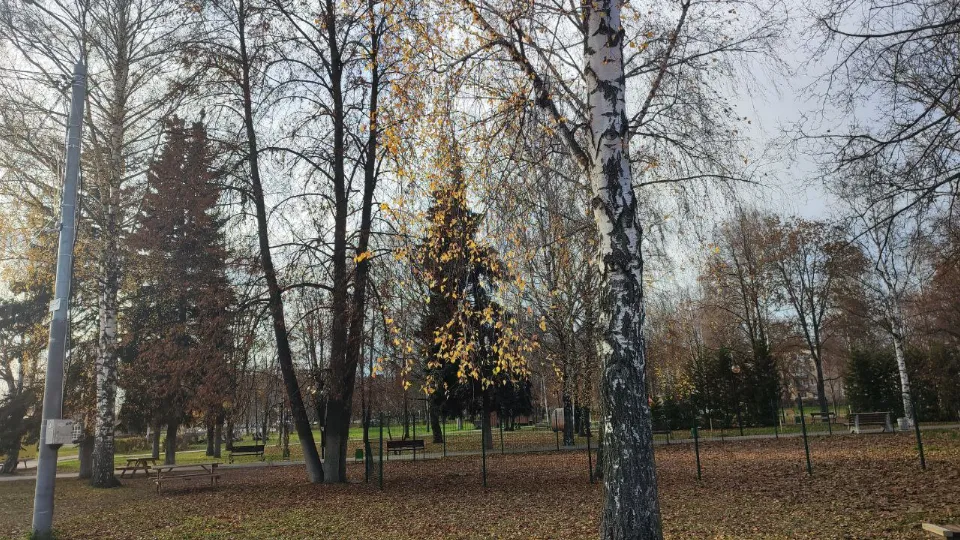 Фото: REGIONS/Елена Забелина