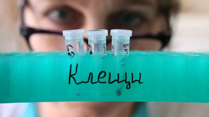 В Подмосковье начался сезон клещей: медики советуют быть бдительными