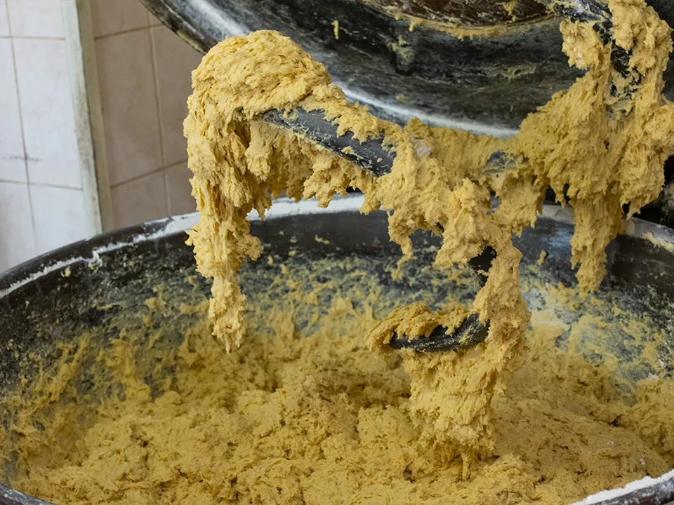 Фото: REGIONS/Евгений Мазепов