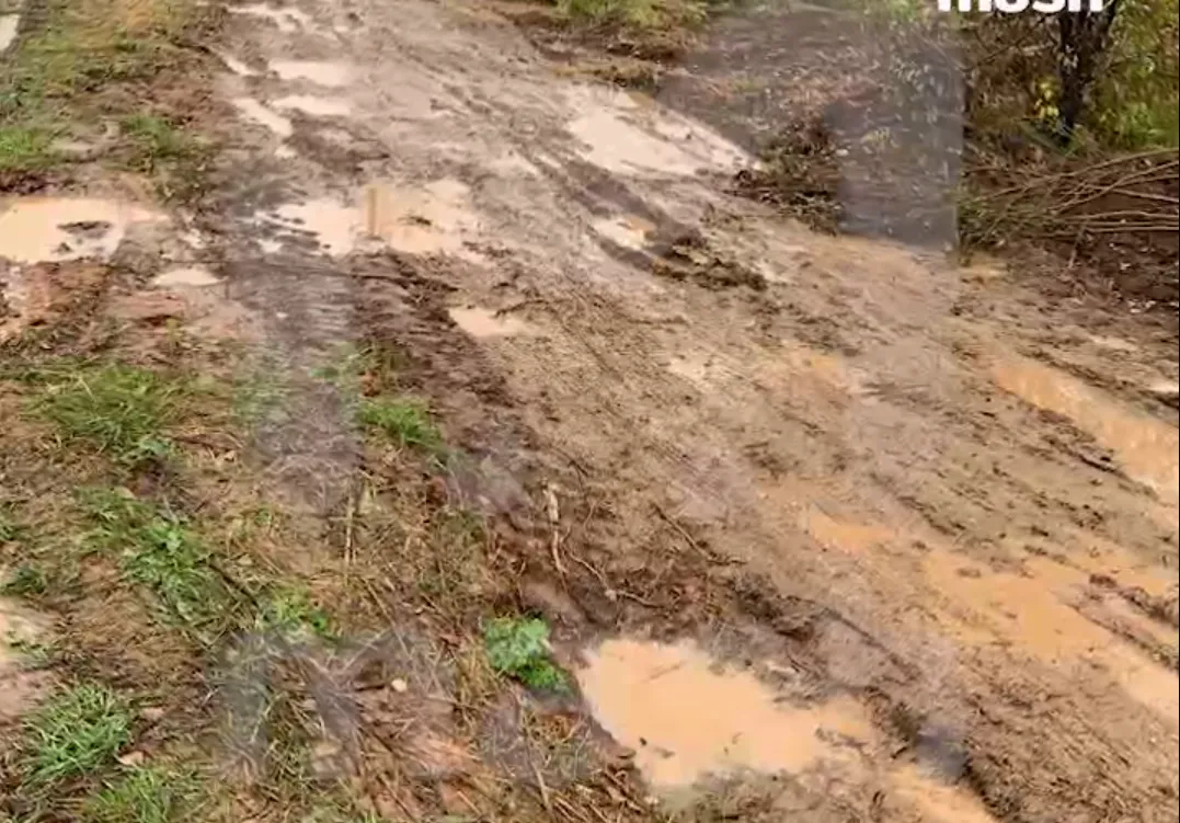 Фото: Mash / Telegram