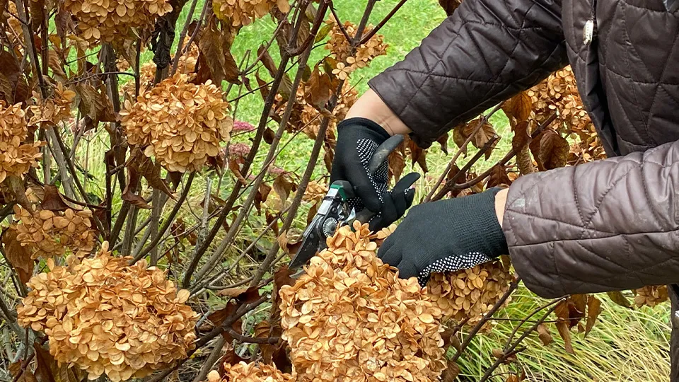 Фото: МедиаБанк Подмосковья/Дарья Шапочкина