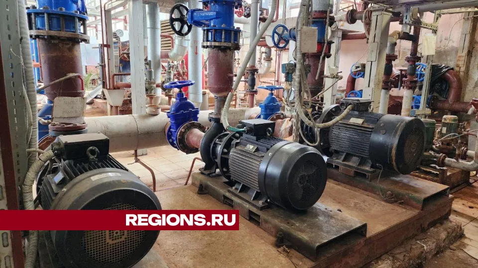 Фото: пресс-служба Администрации г.о. Чехов