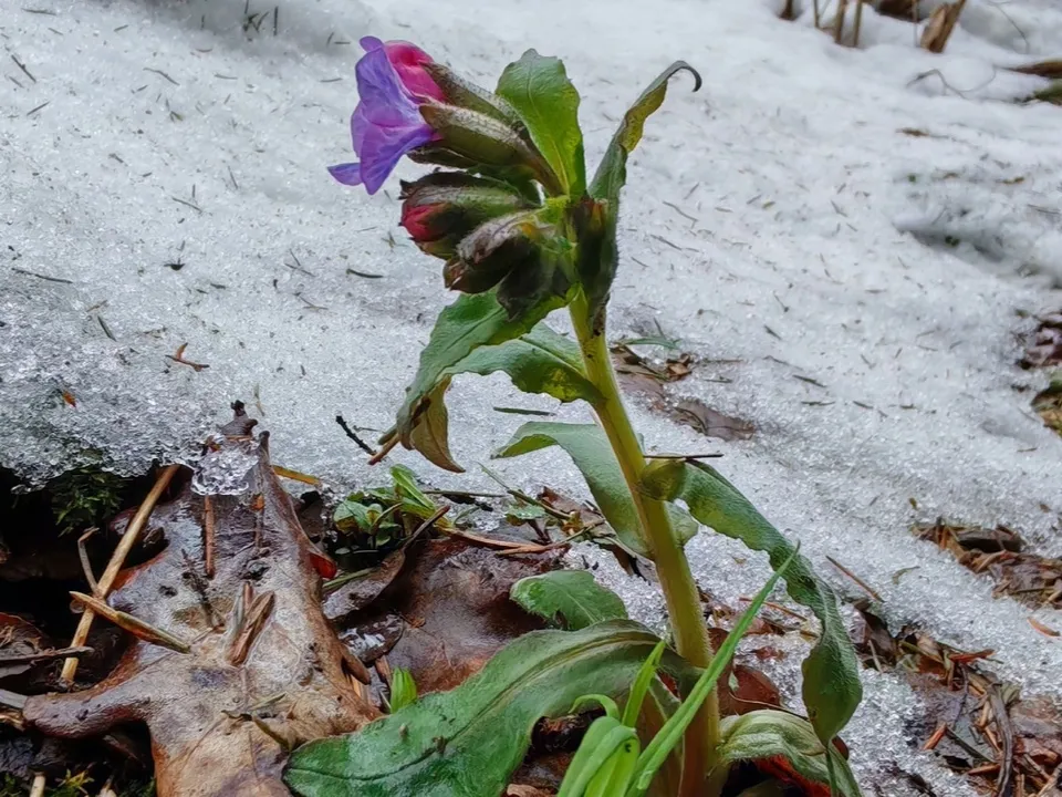 Фото: Константин Кошелев