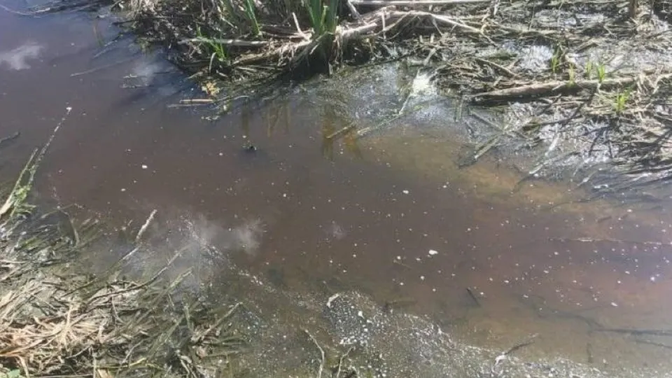 Фото: Минэкологии МО