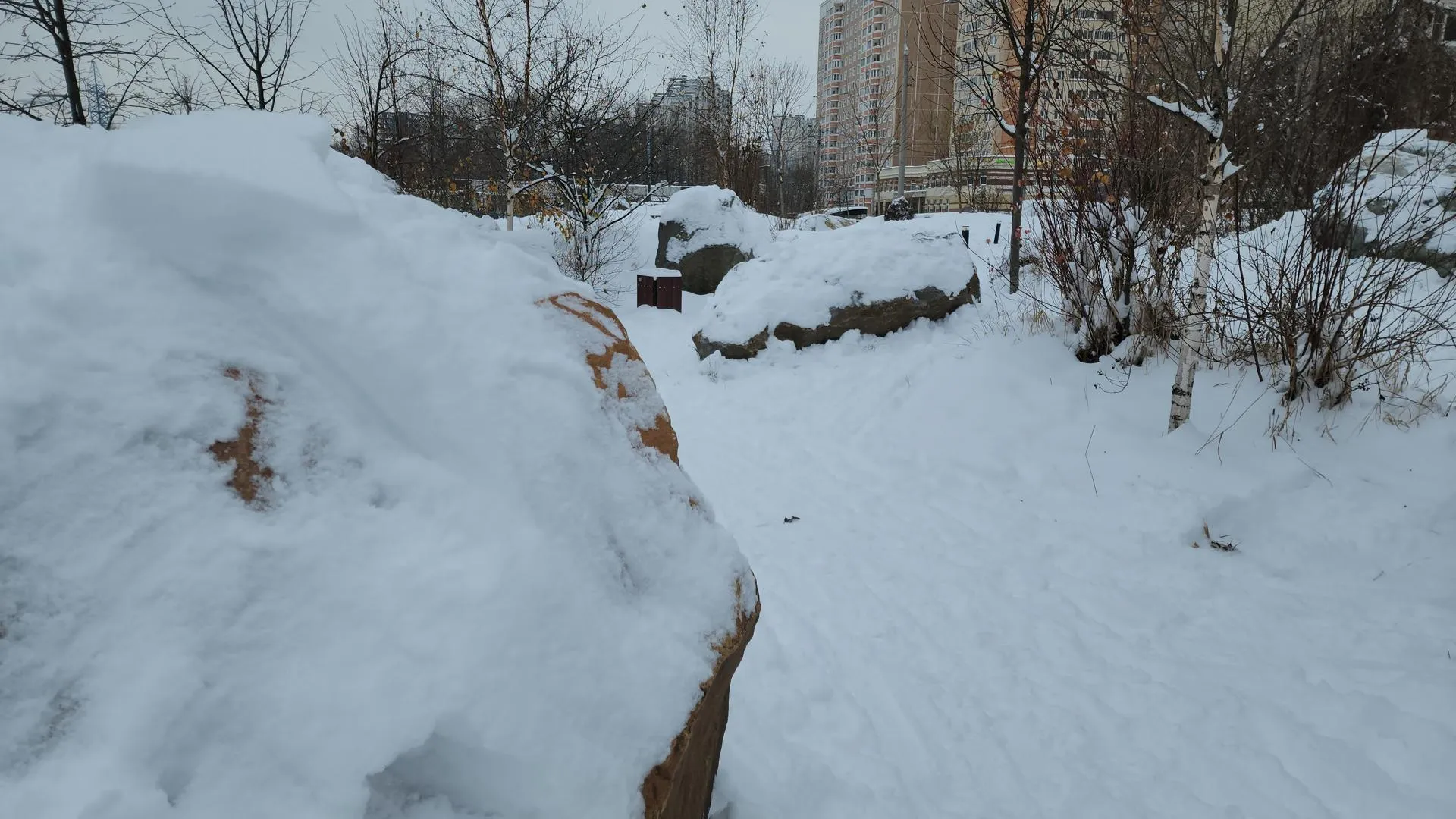 Андрюхина Мария