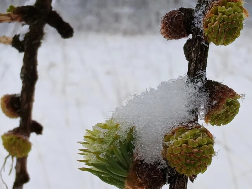 Фото: Константин Кошелев