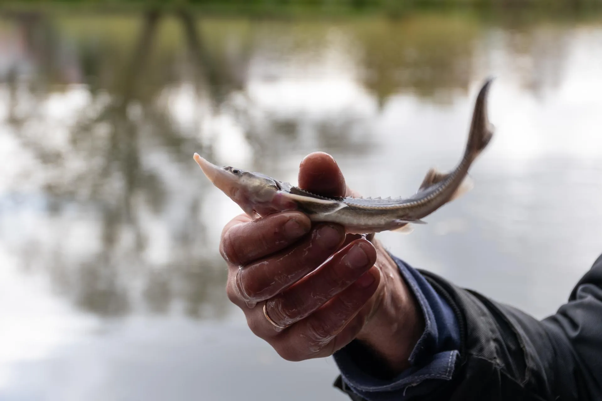 Фото: Евгений Мазепов
