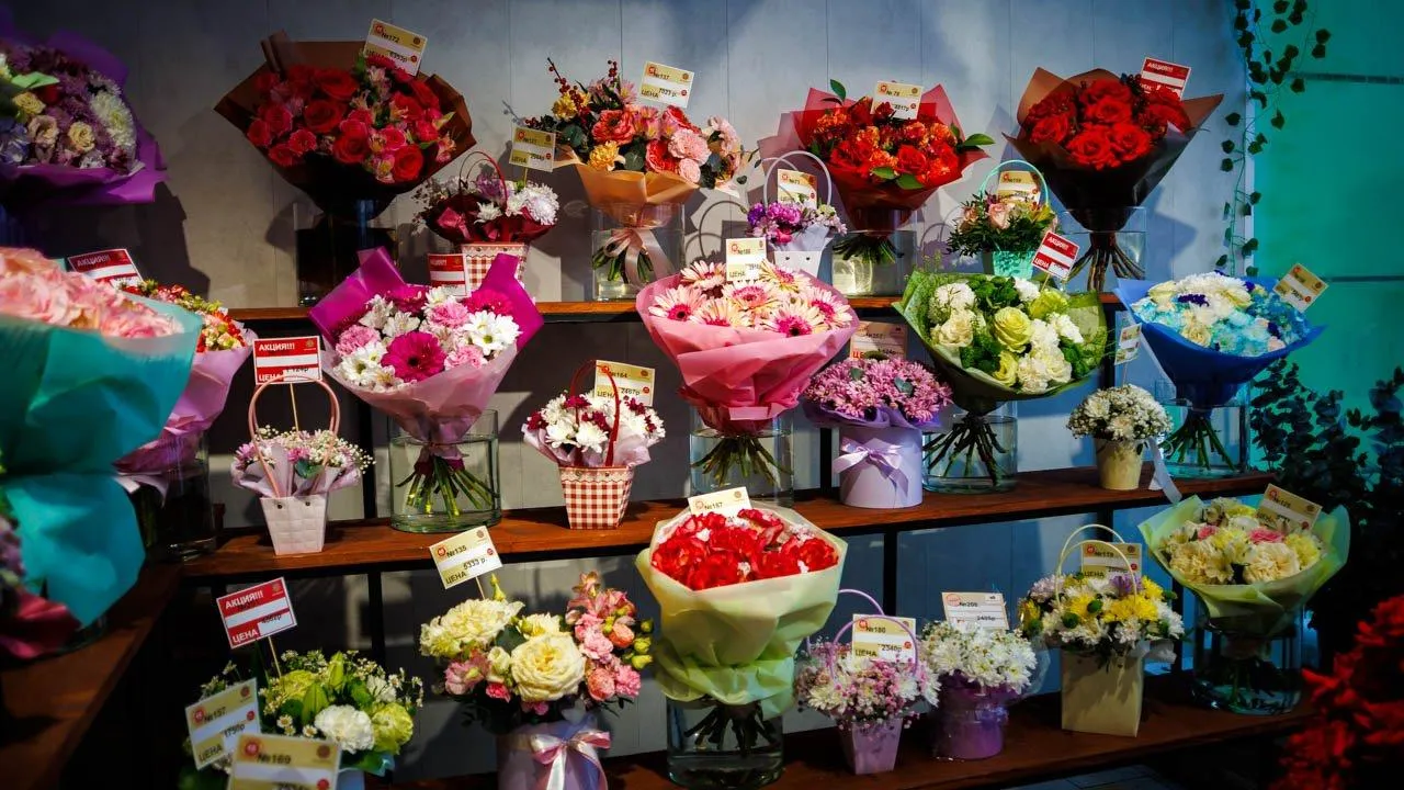 REGIONS/Сергей Шешин