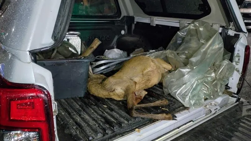 Минэкологии МО.