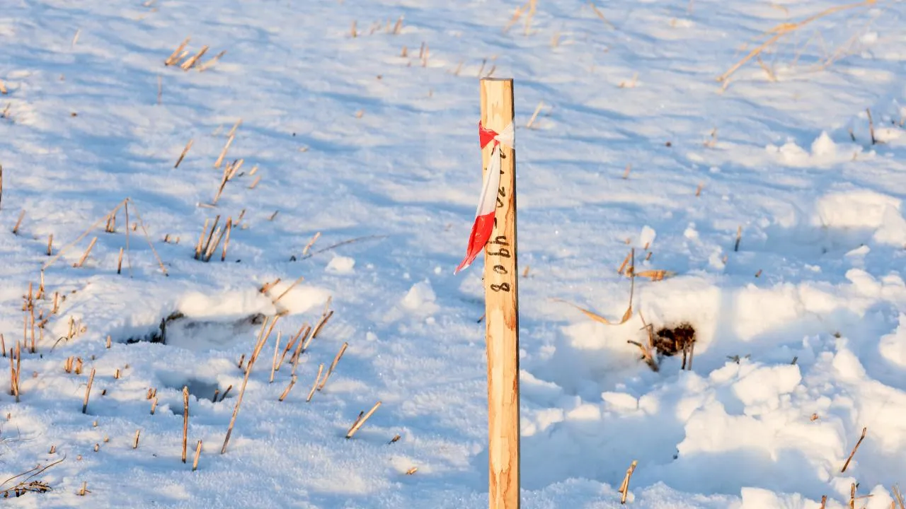 istockphoto.com/Oleh Strus