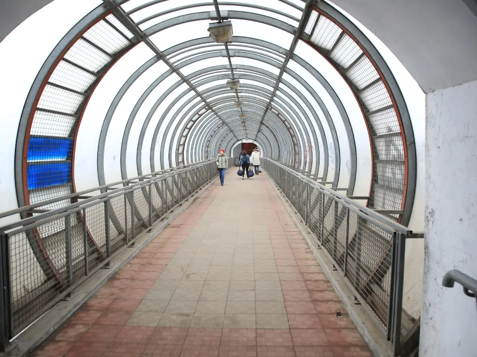 Фото: пресс-служба администрации г.о. Лобня