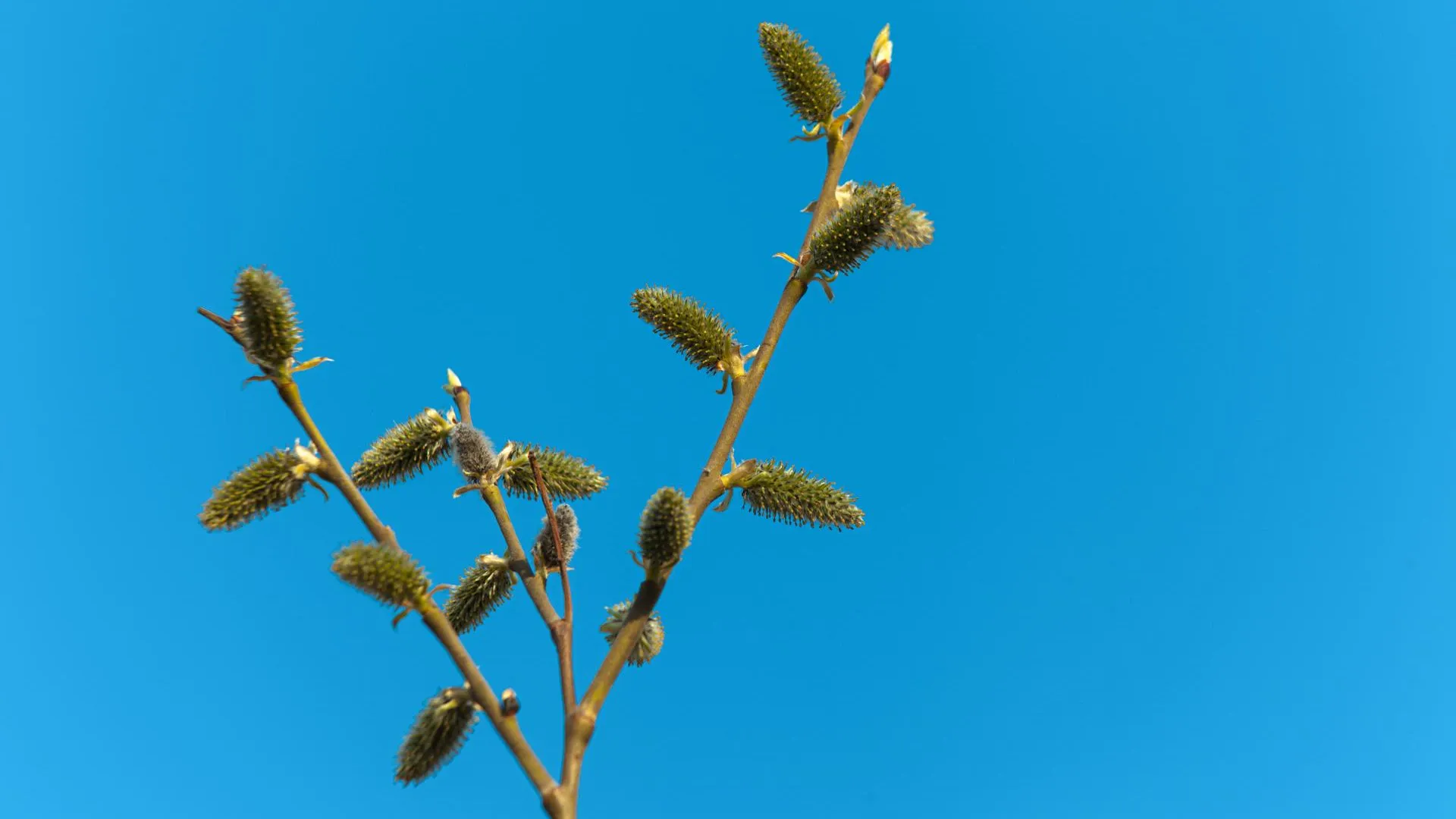 медиасток.рф