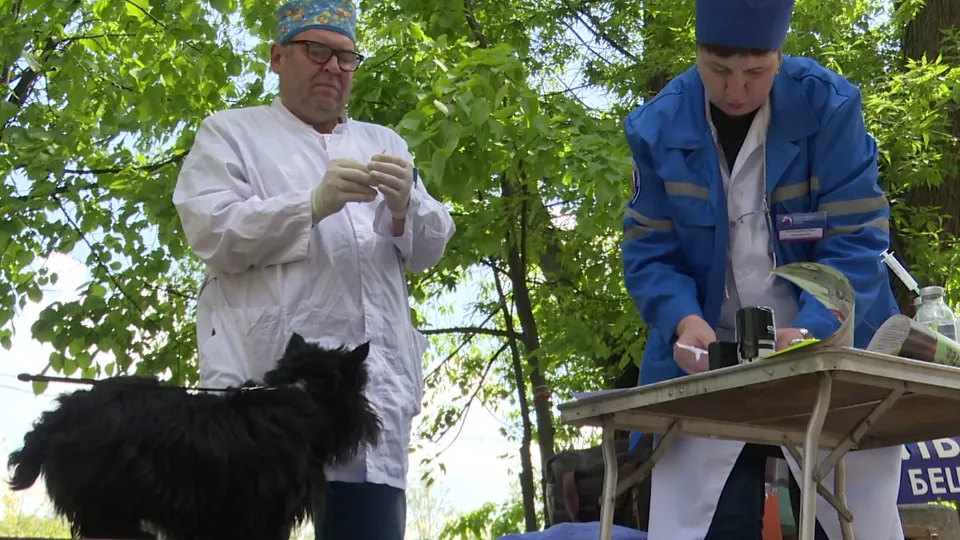 Фото: МедиаБанк Подмосковья/Ксения Казакова