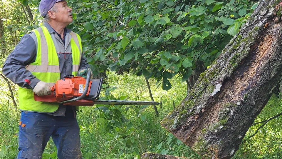 Фото: МедиаБанк Подмосковья/Андрей Алекин