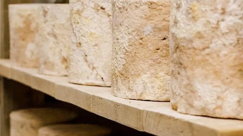 Министерство сельского хозяйства и продовольствия МО