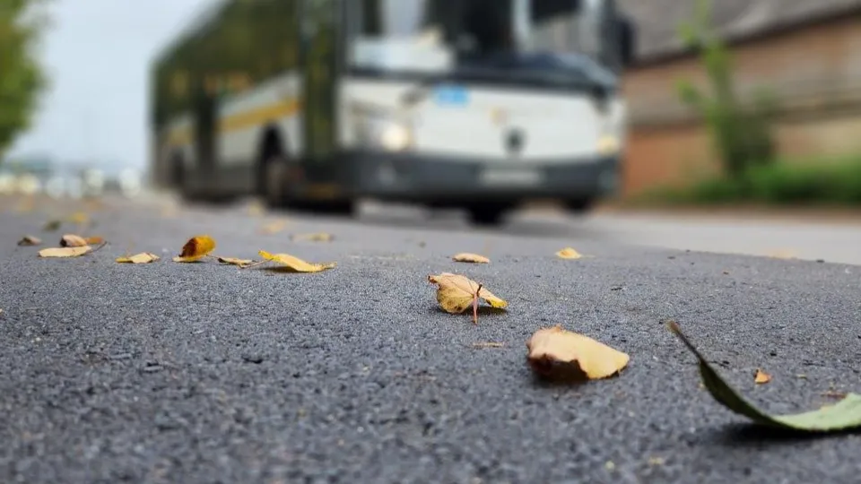 Фото: МТДИ МО