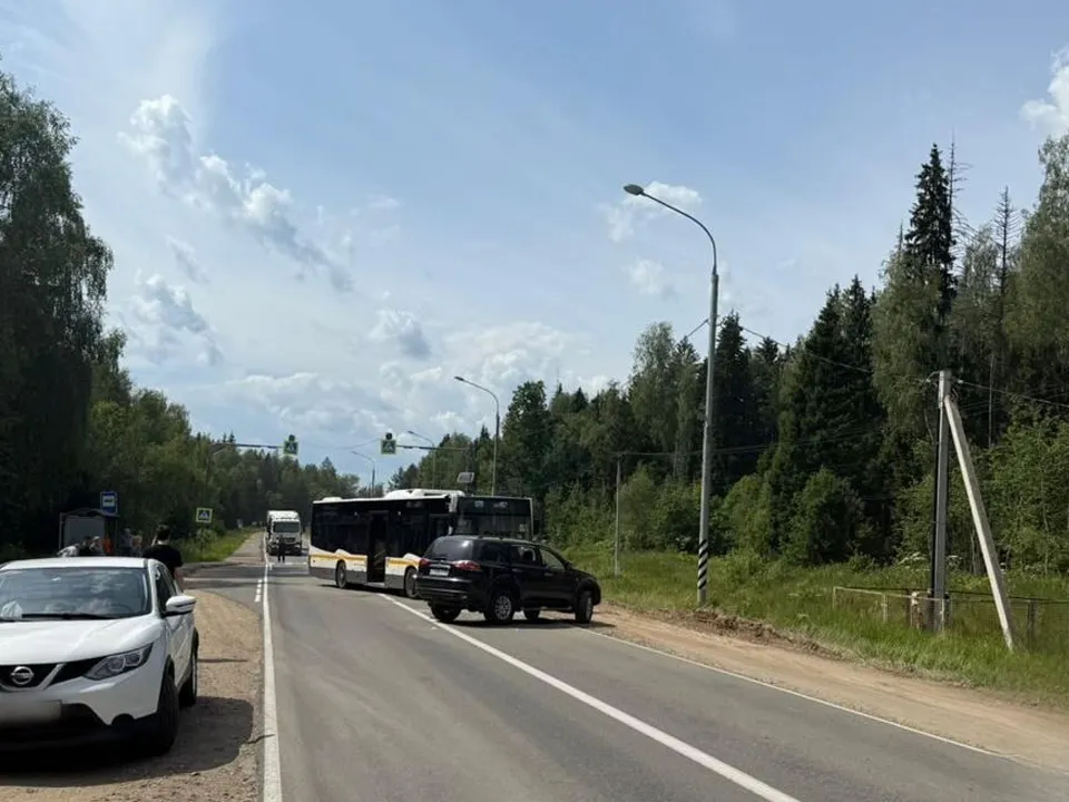 Фото: пресс-служба ГУ МВД России по Московской области