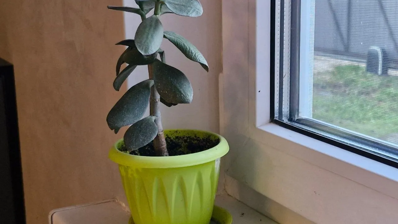 Фото: REGIONS/Наталия Надточая