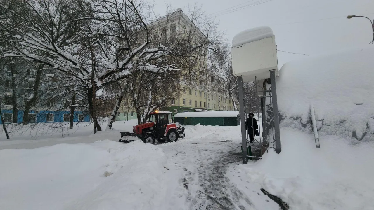 МедиаБанк Подмосковья/Наталья Лымарь