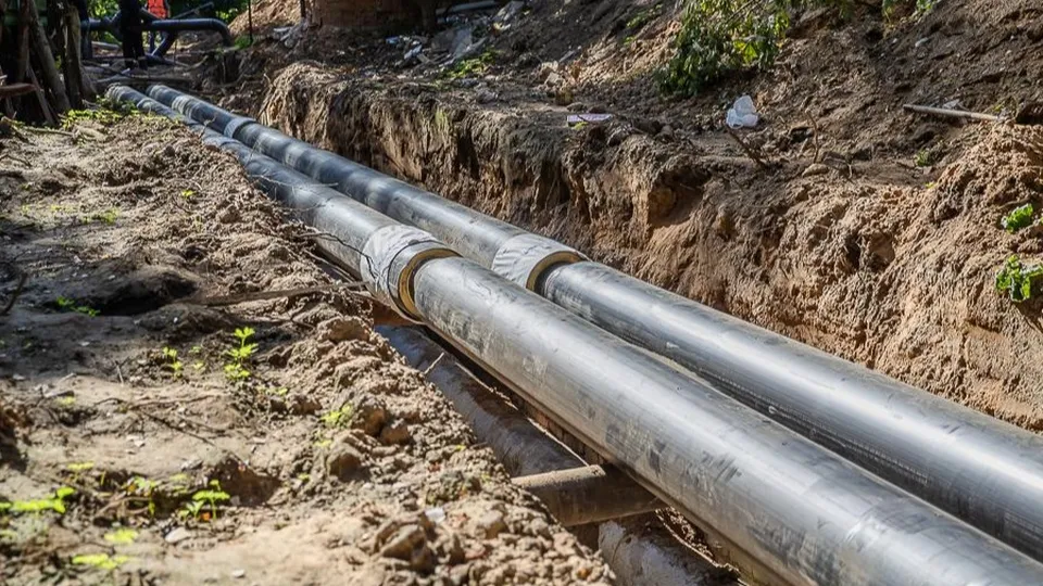 Фото: пресс-служба администрации Одинцовского г.о.