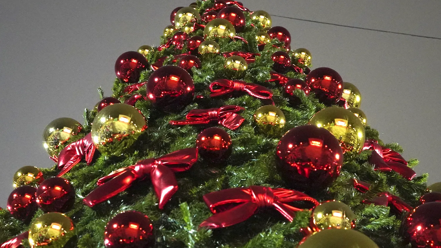 Фото: Екатерина Елисеева