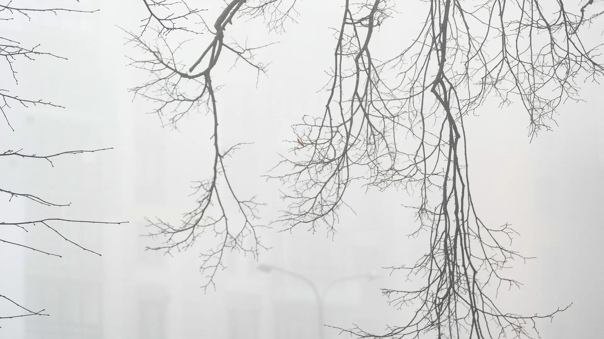 Аномальный туман в Москве