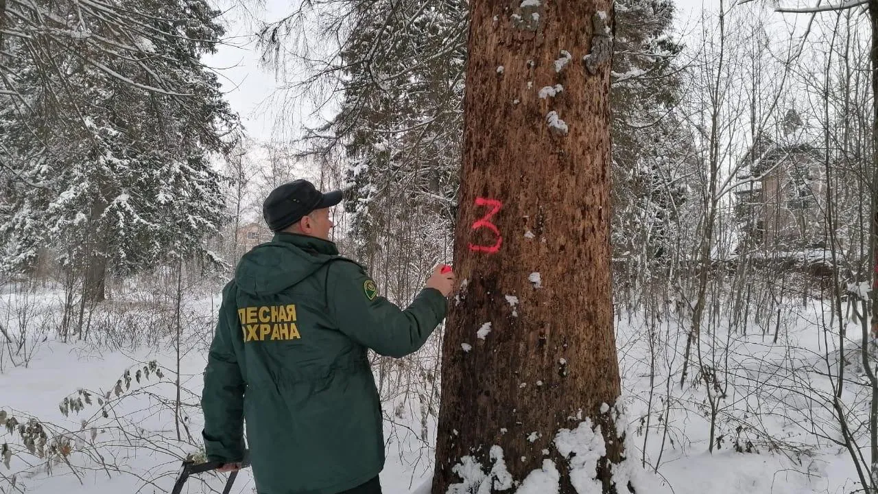 Комитет лесного хозяйства Московской области