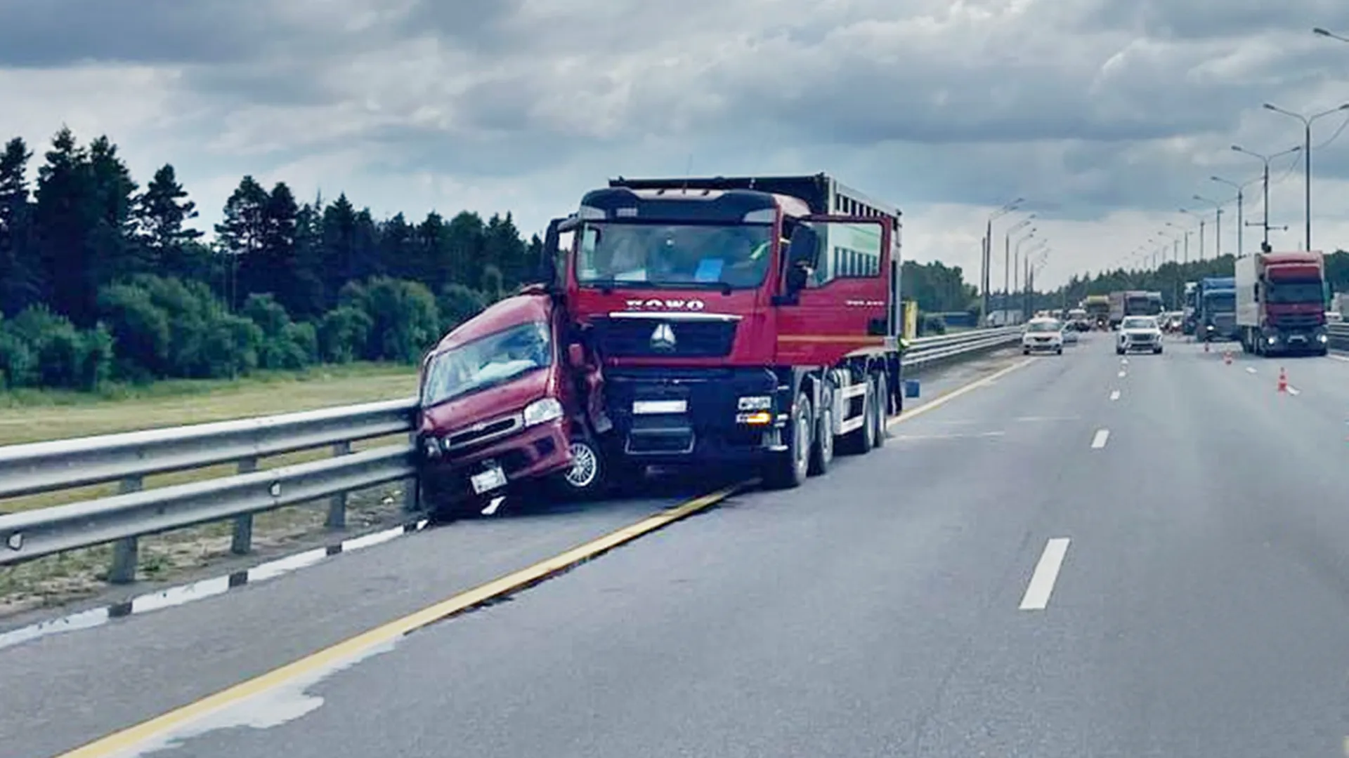 Фото: ГУ МВД России по Московской области