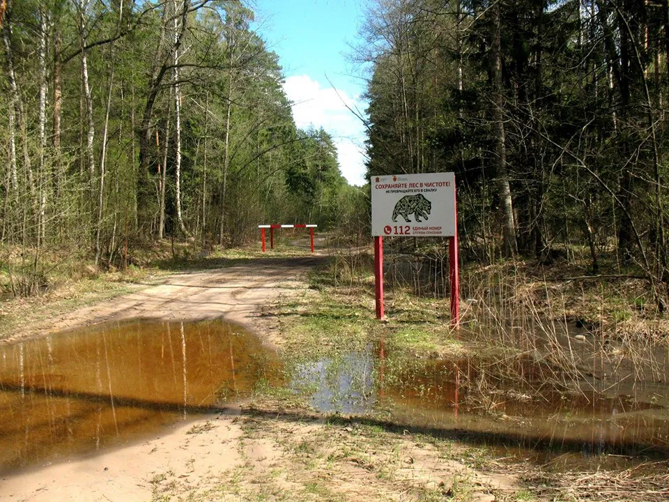 Фото: Комитет лесного хозяйства Московской области