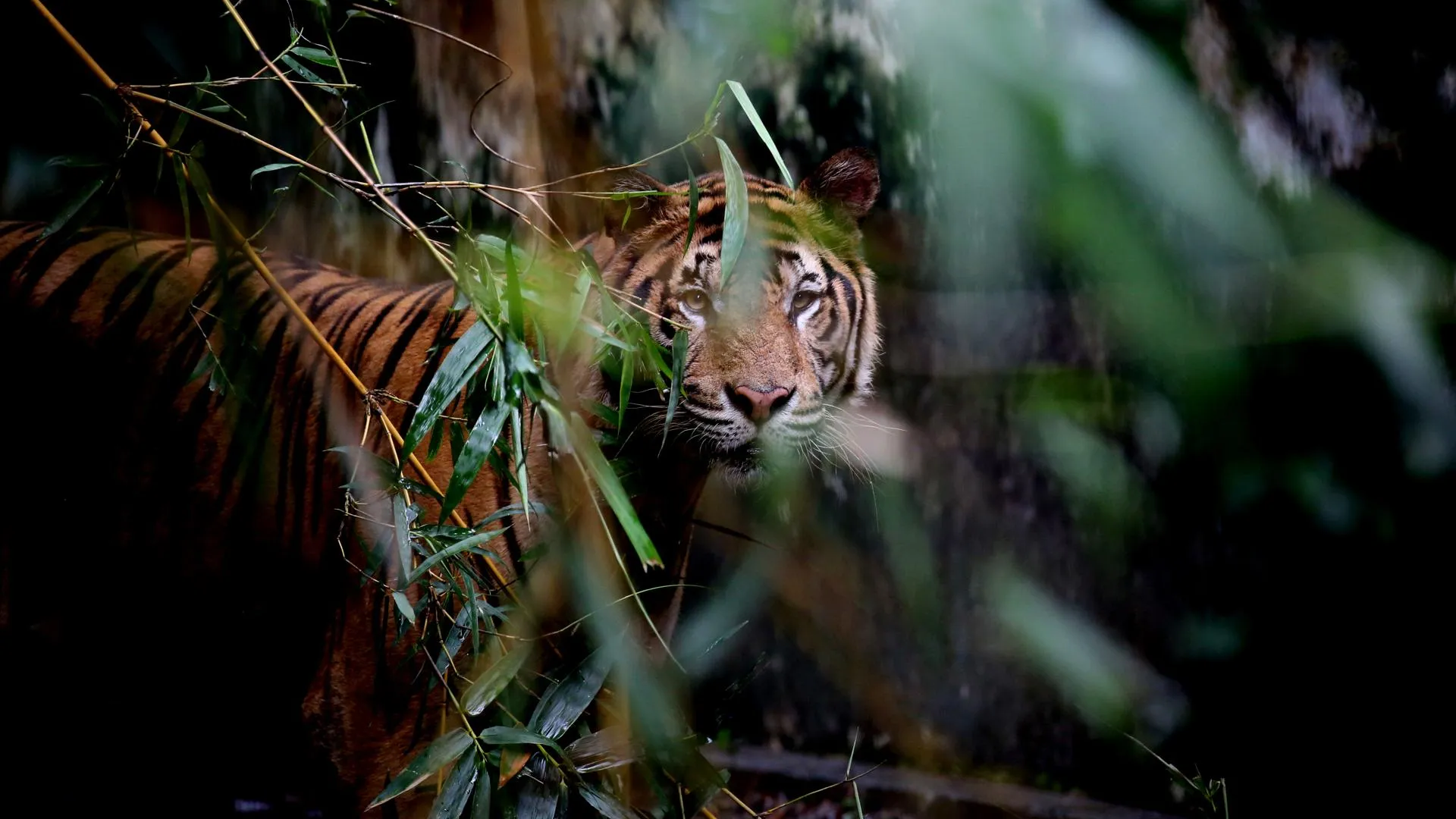 U Aung/Xinhua