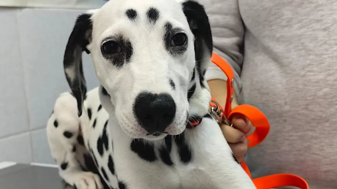 Министерство сельского хозяйства и продовольствия Московской области