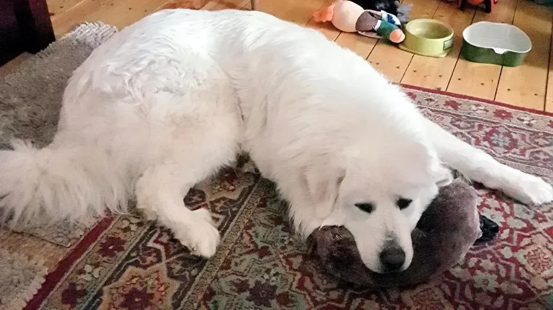 архив Татьяны Мороз