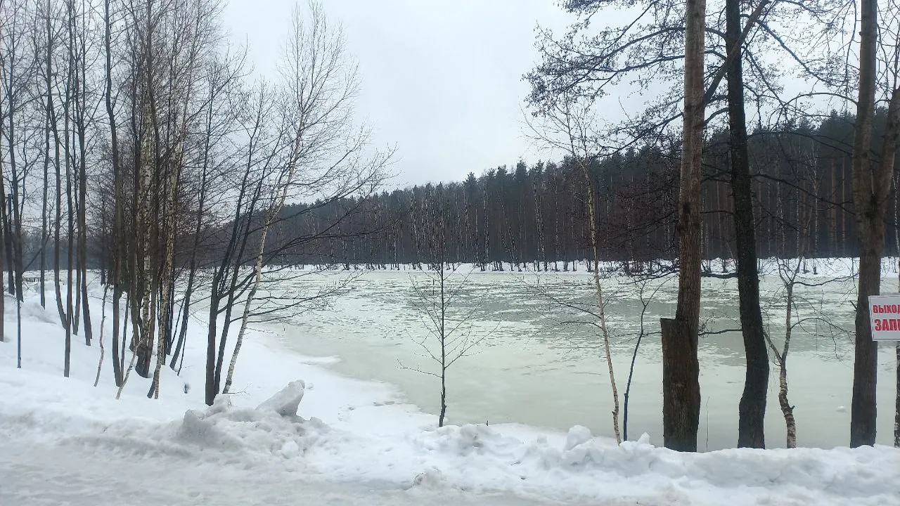 Фото: Олег Книжник