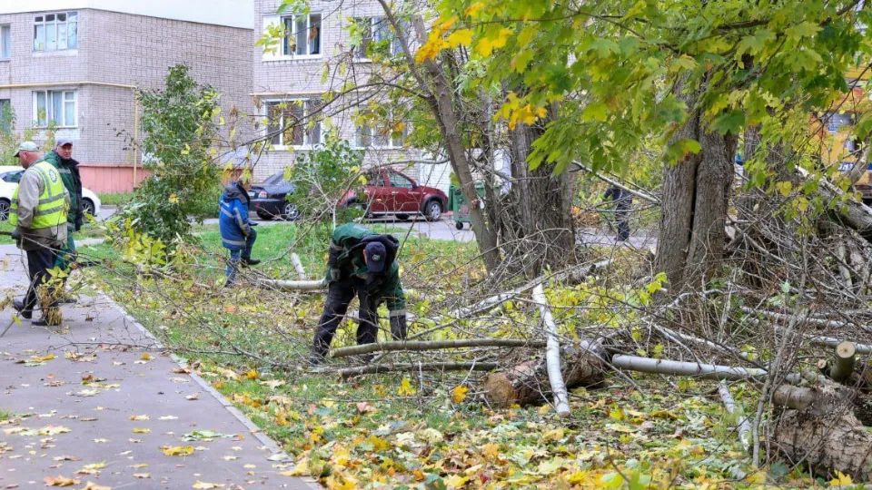 Фото: пресс-служба администрации г.о. Электросталь