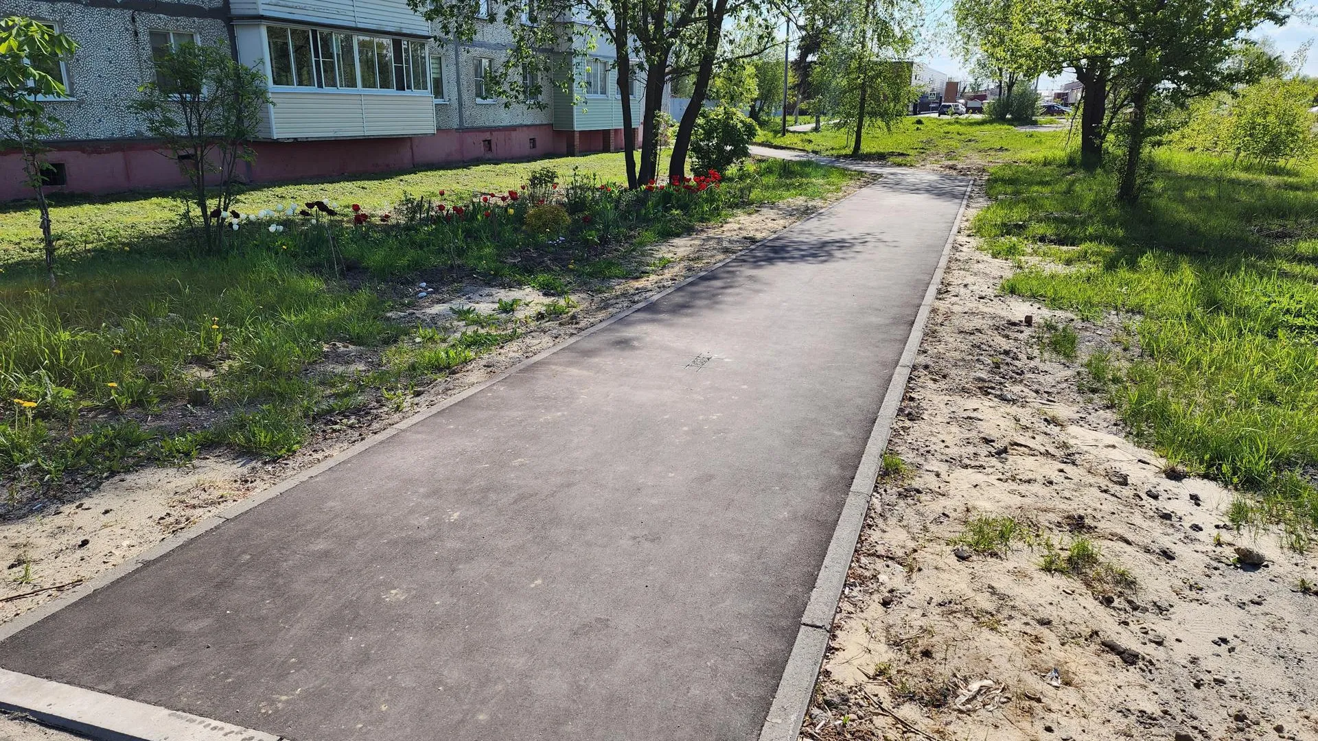 Благоустройство «народных троп» завершено в Воскресенске