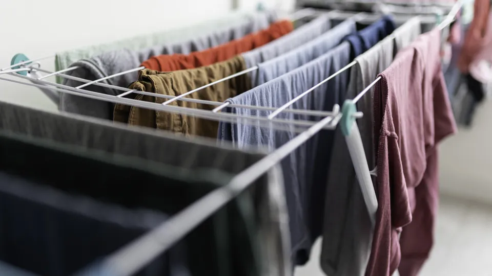 Фото: istockphoto.com/blackdovfx